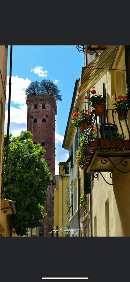 Casa Luba Hotel Lucca Exterior foto